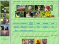 Podgląd agropokrowka.republika.pl