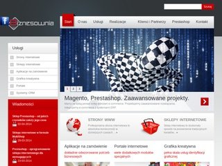 Podgląd biznesownia.pl