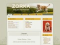 Podgląd zorka.gracz.pro