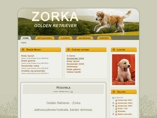 Podgląd zorka.gracz.pro