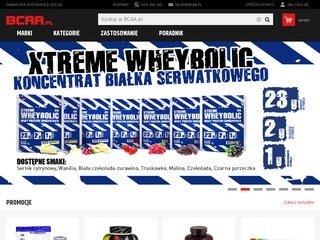 Podgląd bcaa.pl