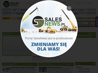 Podgląd salesnews.pl