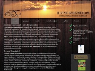 Podgląd leczenie-uzaleznien.com