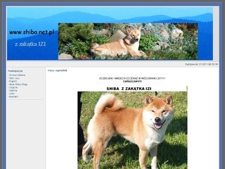 Podgląd shiba.net.pl