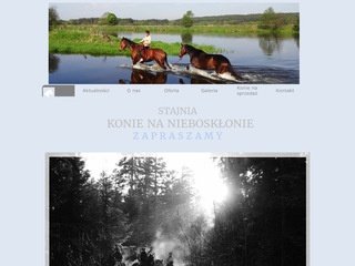 Podgląd konienaniebosklonie.pl