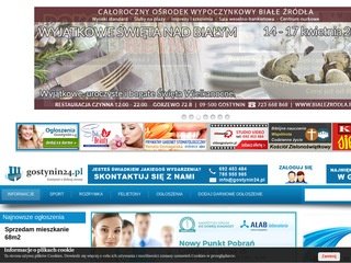 Podgląd gostynin24.pl