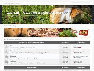 Podgląd forum.cavia.pl