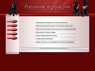 Podgląd psifryzjer.strefa.pl