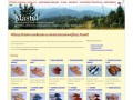 Podgląd mastel.net.pl