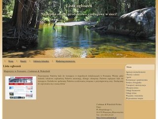 Podgląd lampyniemieckie.pl