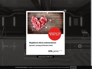 Podgląd spalarnia.com.pl
