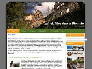 Podgląd niesytno.pl