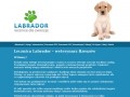 Podgląd labrador.rzeszow.pl