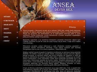 Miniaturka ansea.pl