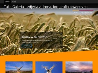 Podgląd takagaleria.com.pl