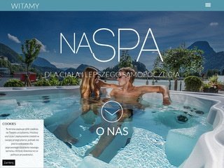 Podgląd naspa.pl