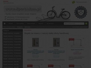 Podgląd sportadam.pl