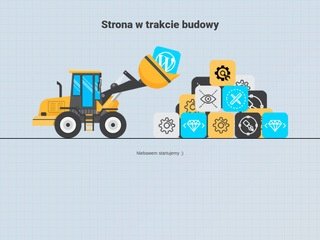 Podgląd pewnysukces.pl