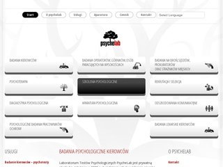 Podgląd psychelab.pl