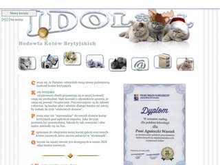 Podgląd kotybrytyjskie.pl