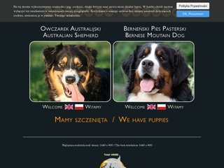 Podgląd altura.pl
