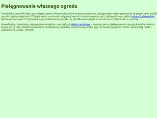 Podgląd bayou.pl