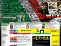 Podgląd legialive.pl