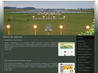 Podgląd movisklep.pl