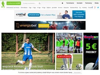 Podgląd podkarpacielive.pl