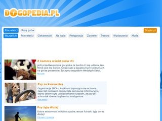 Podgląd dogopedia.pl