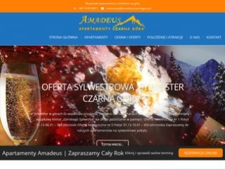 Miniaturka amadeus-hotel.pl