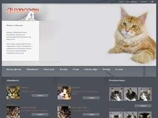 Podgląd alfarcoon.com