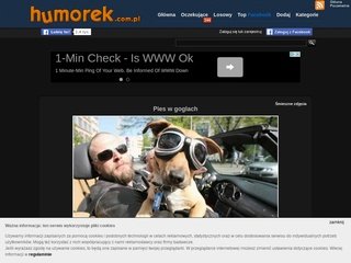 Podgląd humorek.com.pl