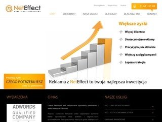 Podgląd netefekt.pl