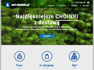 Miniaturka net-choinki.pl