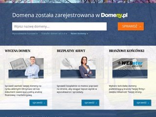 Podgląd e-pisanieprac.net.pl