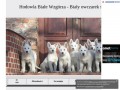 Podgląd bialewzgorza.republika.pl