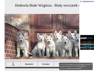 Miniaturka bialewzgorza.republika.pl