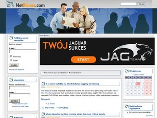 Podgląd netbiznes.com
