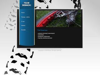 Podgląd team-debnicki.pl