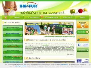 Podgląd amitur.pl