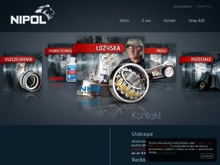Podgląd nipol.pl