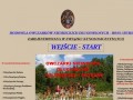 Podgląd boss-bursztyn.com.pl