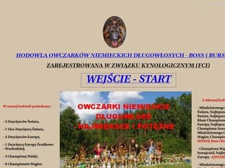 Podgląd boss-bursztyn.com.pl