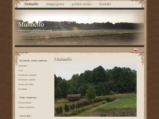 Podgląd mulinello.eu