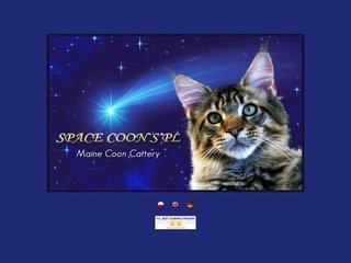 Podgląd spacecoons.pl