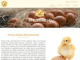 Podgląd hurtownia-jaj.pl