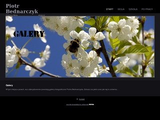 Podgląd pbsw.pl
