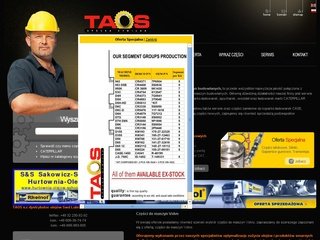 Miniaturka taos.com.pl