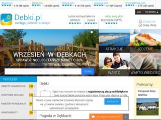 Podgląd debki.pl